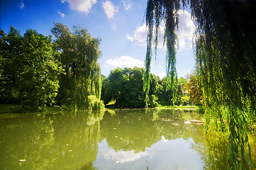 Image showing Colorful autumn summer park