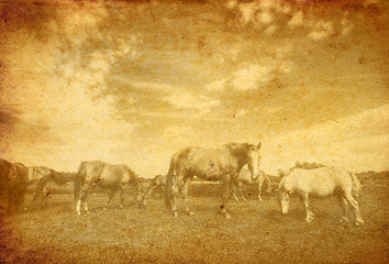 Image showing Landscape and horses on vintage grunge paper