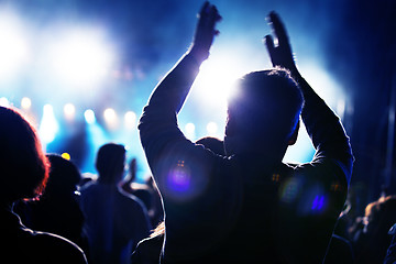 Image showing People on music concert