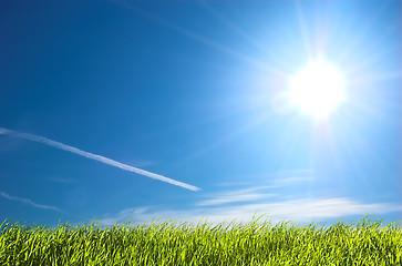 Image showing Fresh grass and blue sunny sky