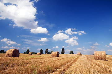 Image showing Haystacks in the field