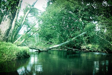 Image showing Summer landscape