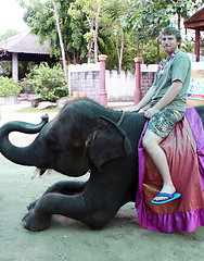 Image showing Elephant riding