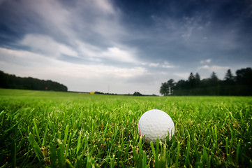 Image showing Golf ball on on the field
