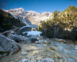 Image showing A mountain stream scenery