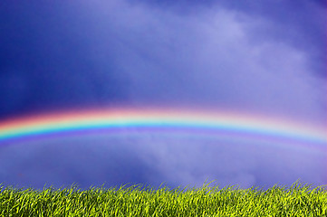 Image showing Fresh grass and sky with rainbow