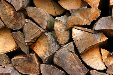 Image showing Woodpiles