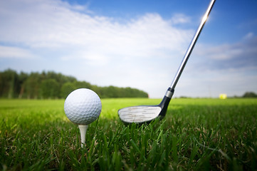 Image showing Playing golf. Club and ball on tee