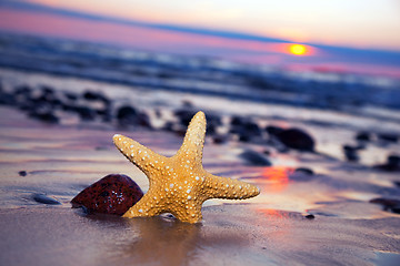 Image showing Starfish on the beach at sunset