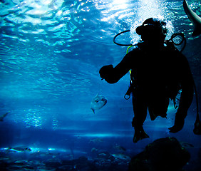 Image showing Diving in the ocean underwater