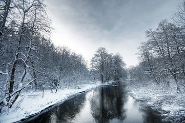 Image showing Winter white forest