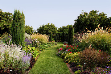 Image showing Beautiful garden