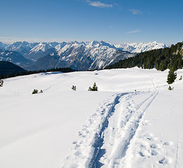 Image showing Beautiful winter scenery with footpath