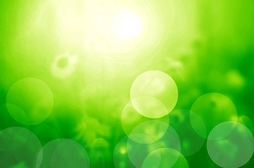 Image showing Nature blur summer background. 