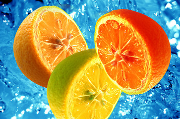 Image showing Fresh citrus background