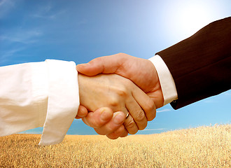 Image showing Business handshake