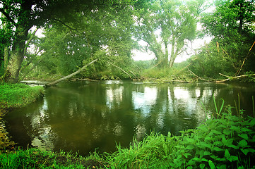 Image showing Summer landscape