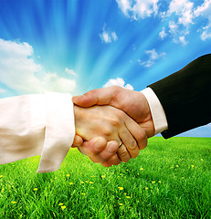 Image showing Business handshake on nature background