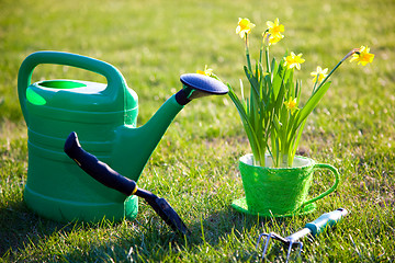 Image showing Gardening tools and flowers