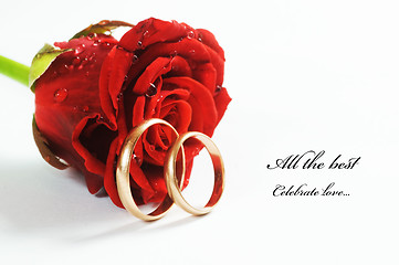 Image showing Red rose and wedding ring