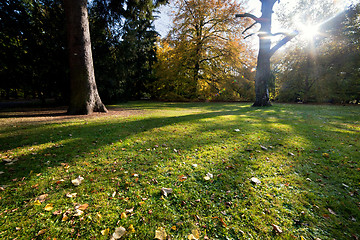 Image showing Colorful fall autumn park