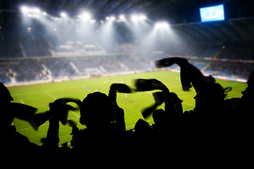 Image showing Fans celebrating goal