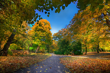 Image showing Alley with falling leaves in fall park