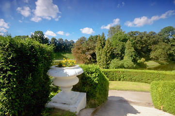 Image showing Green summer park