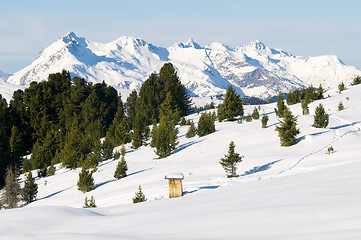 Image showing Beautiful winter scenery