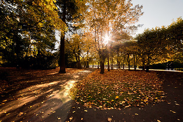 Image showing Colorful fall autumn park