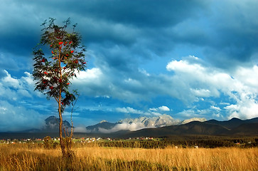 Image showing Mountains landscape