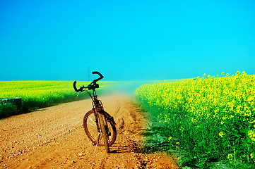 Image showing Bicycle trip at summer