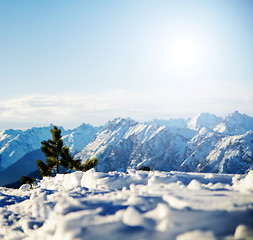 Image showing Mountain snowy winter scenery