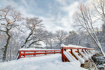 Image showing Winter white forest