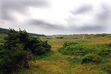 Image showing Danish landscape