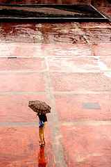 Image showing Alone in the rain