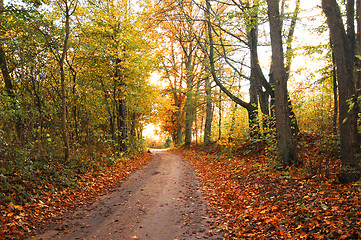 Image showing Autumn scenery