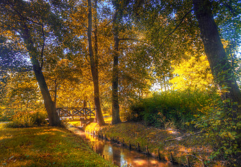 Image showing Autumn park