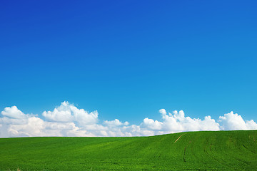Image showing Green summer landscape