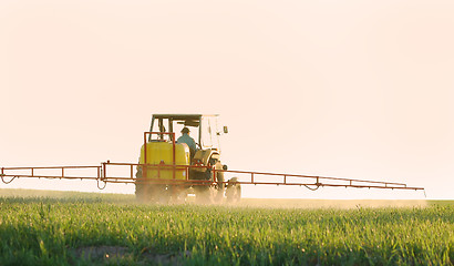 Image showing Spraying the Crop