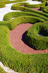 Image showing Garden design