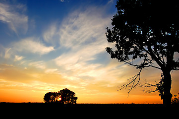 Image showing Sunset and trees