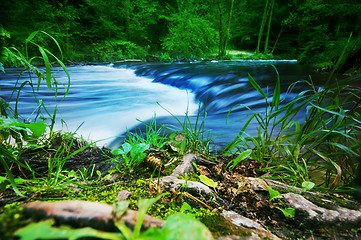 Image showing Forest stream running fast