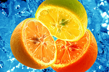 Image showing Fresh citrus background