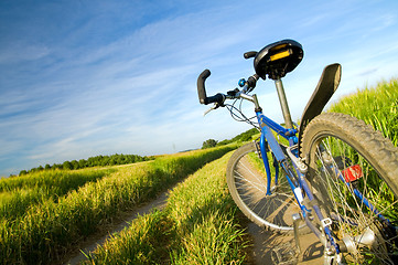 Image showing Bike on the summer field