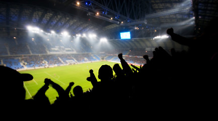 Image showing Fans celebrating goal