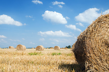 Image showing Haystacks in the field