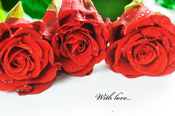 Image showing Red fresh roses on white