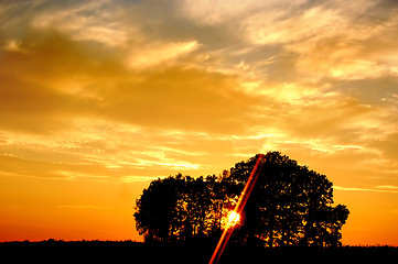 Image showing Sunset and trees