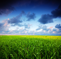 Image showing Stormy summer landscape